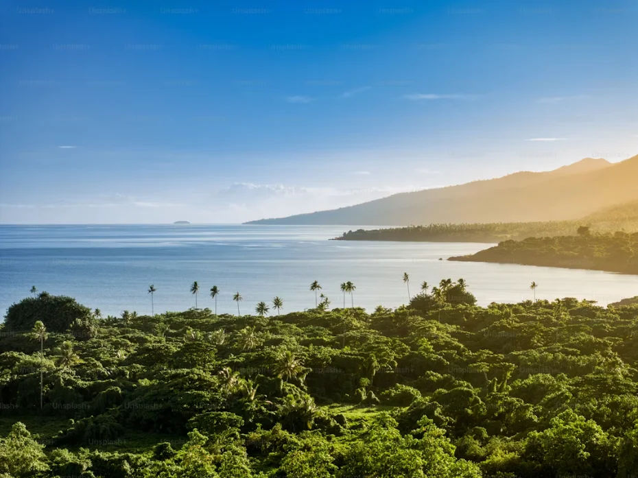Îlots des Yasawa aux Fidji, plage de sable blanc et lagon turquoise sous les palmiers du Pacifique Sud.