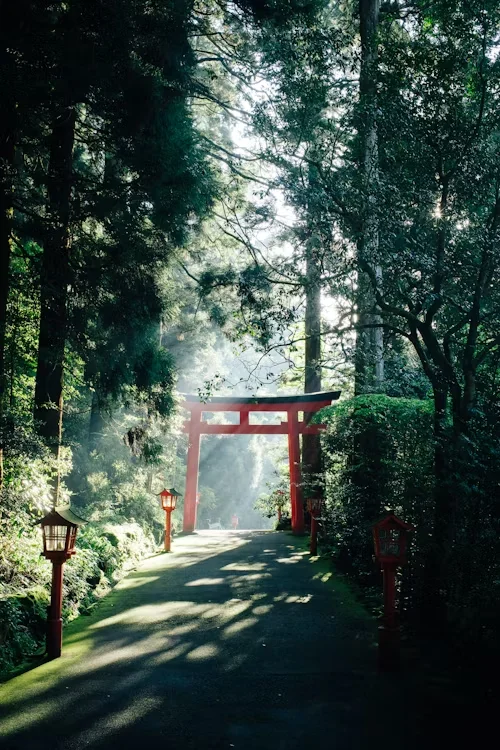 Japon